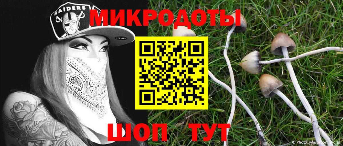 Галлюциногенные грибы мухоморы  Вход с VPN  Богданович 