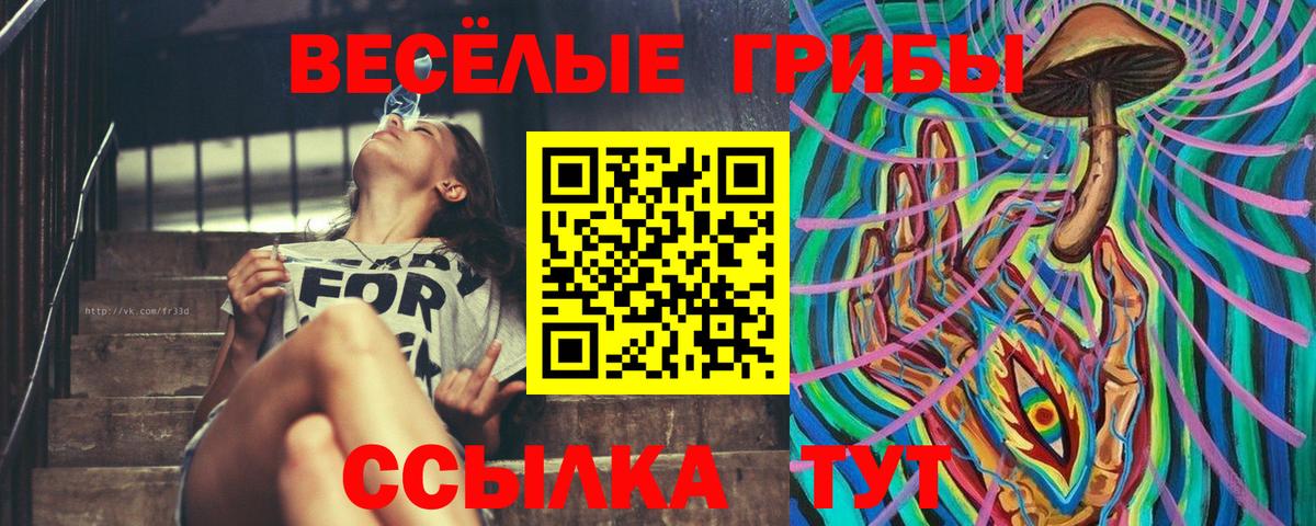 Галлюциногенные грибы Psilocybe Богданович